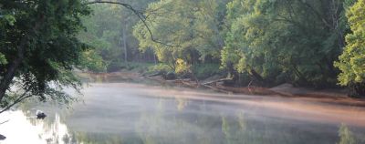 Long Branch (Center Hill Lake)