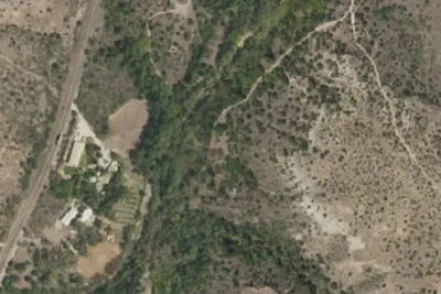 Buzzard's Nest