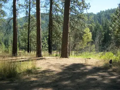 Marcus Island Campground. Trees and hill in the background.