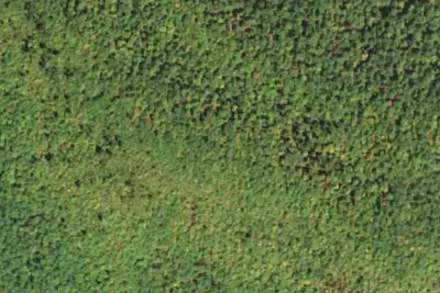 Camp site