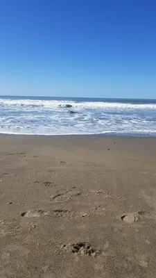 Cayucos beach