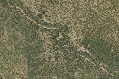 Sycamore Campground