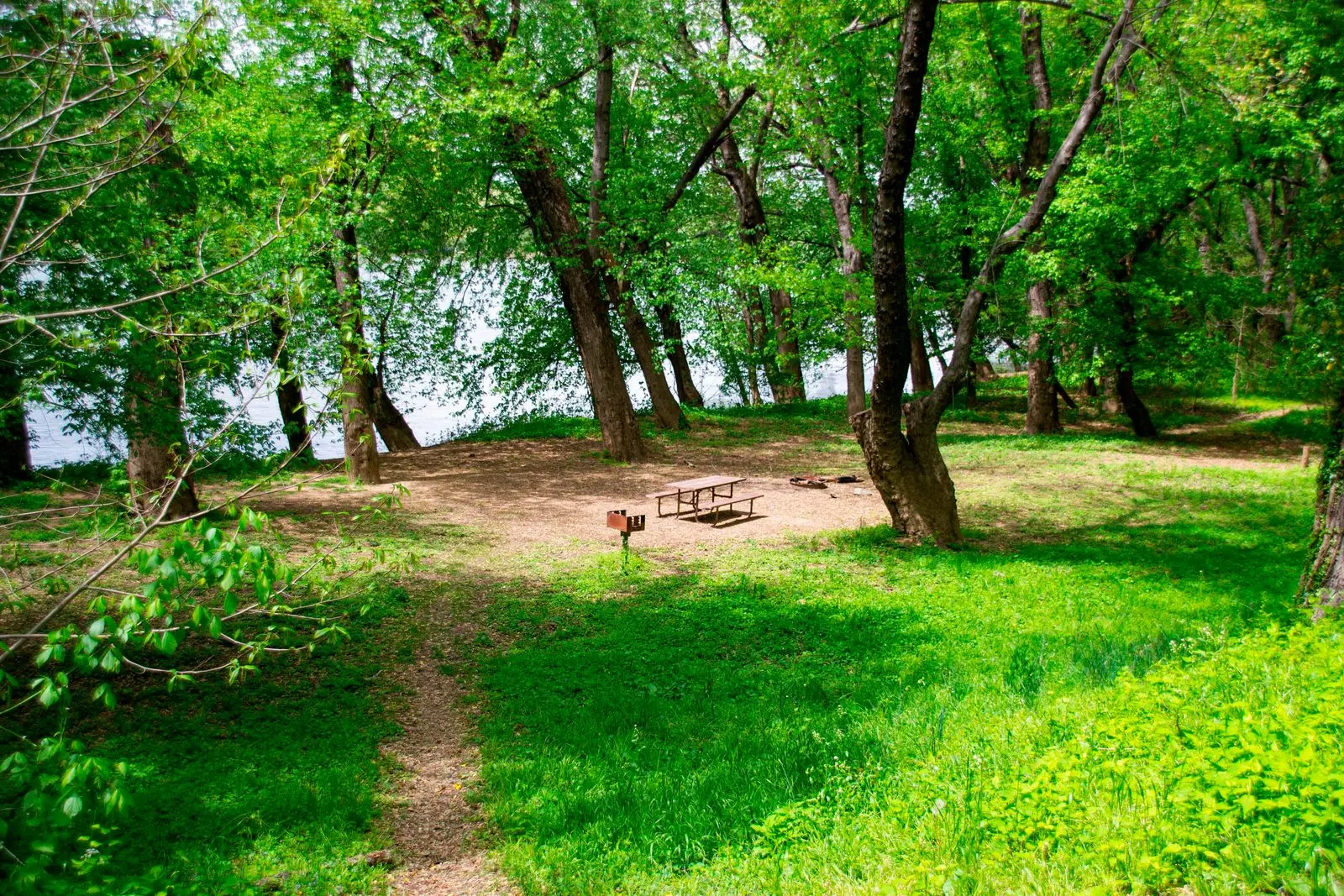 Bald Eagle Campground