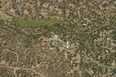 The Pines