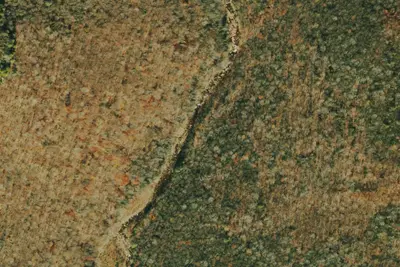 Camp site