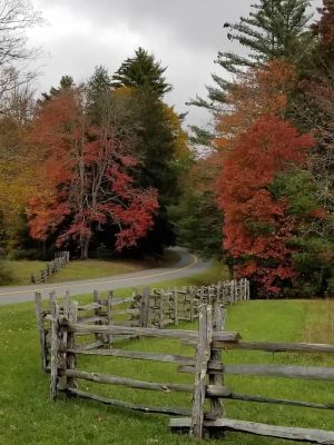 Linville Falls Campground