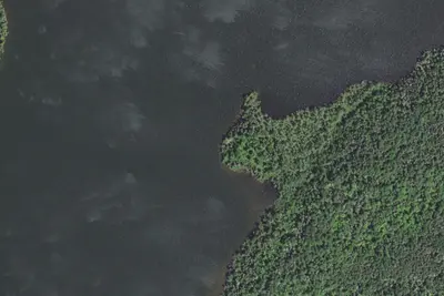 Otto Lake Site 1