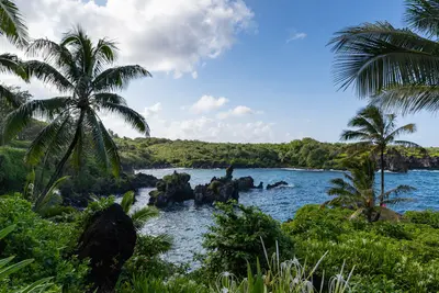 Waianapanapa Maui Hawaii Road to Hana (45741178311)