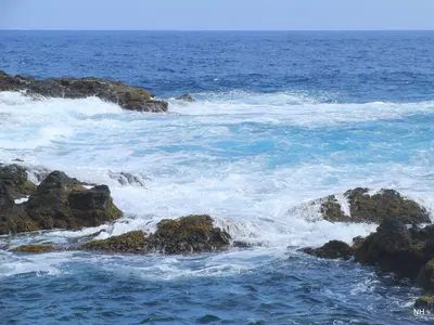 Maui - panoramio (9)