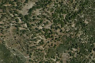 Tool Box Springs Campground
