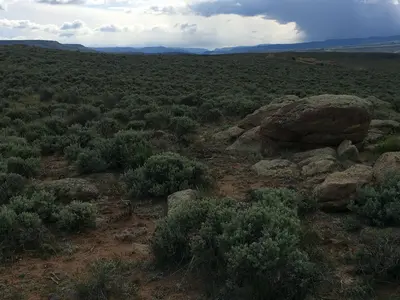 Sagebrush steppe- Gunnison Colorado - 17974405020