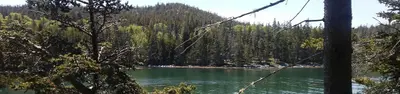 Duck Harbor Campground