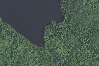 Camp site
