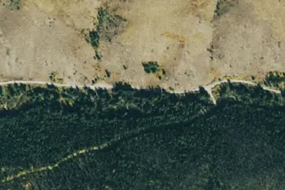 Camp site