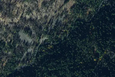 Camp site