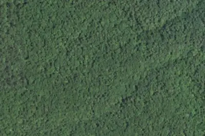 Camp site