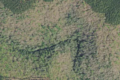 Camp site