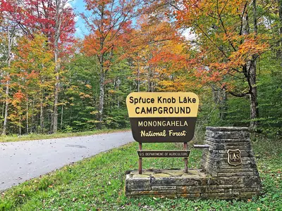 Fall Colors 2019 (20191001-FS-Monongahela-KMB-788)