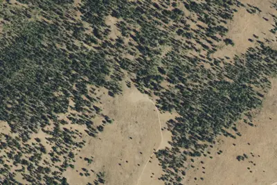 Camp site