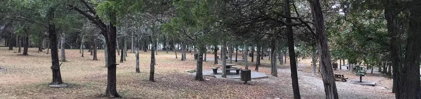 Smith Springs