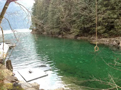 Golden creek