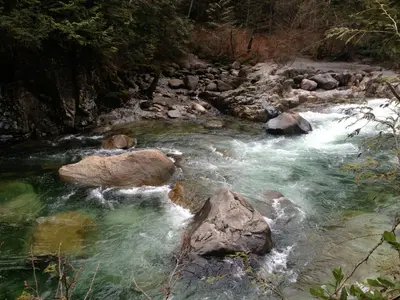 River78UYJNGF