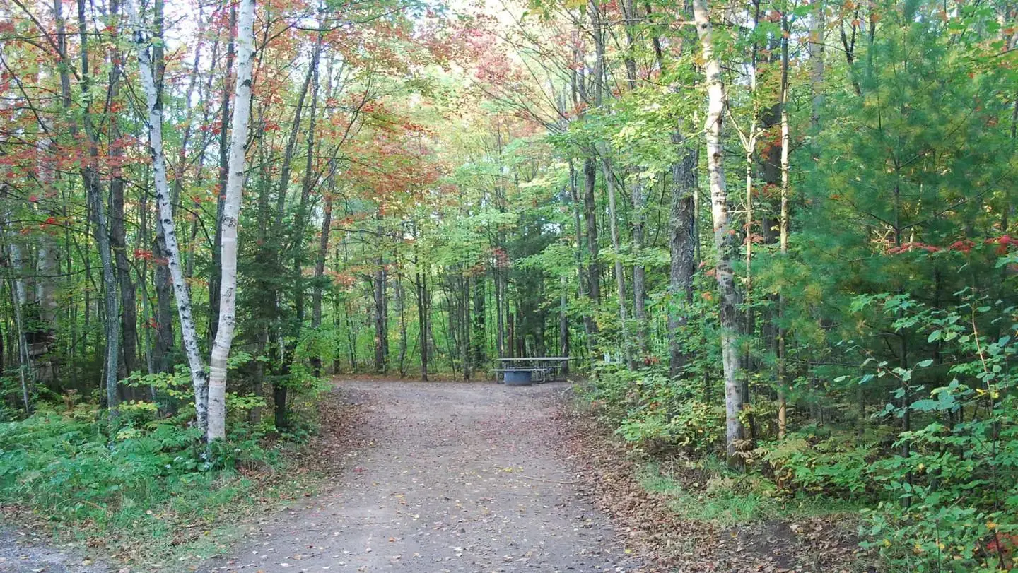 Bay Furnace Campsite