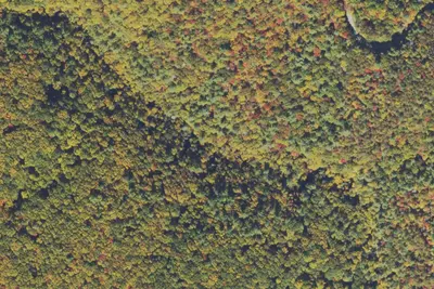 Camp site