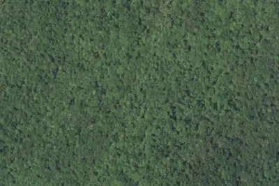 Camp site