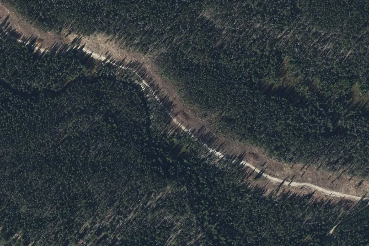 Aerial view