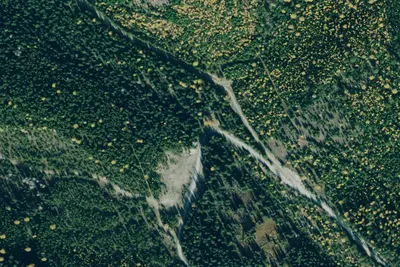 Paul Creek Site 1