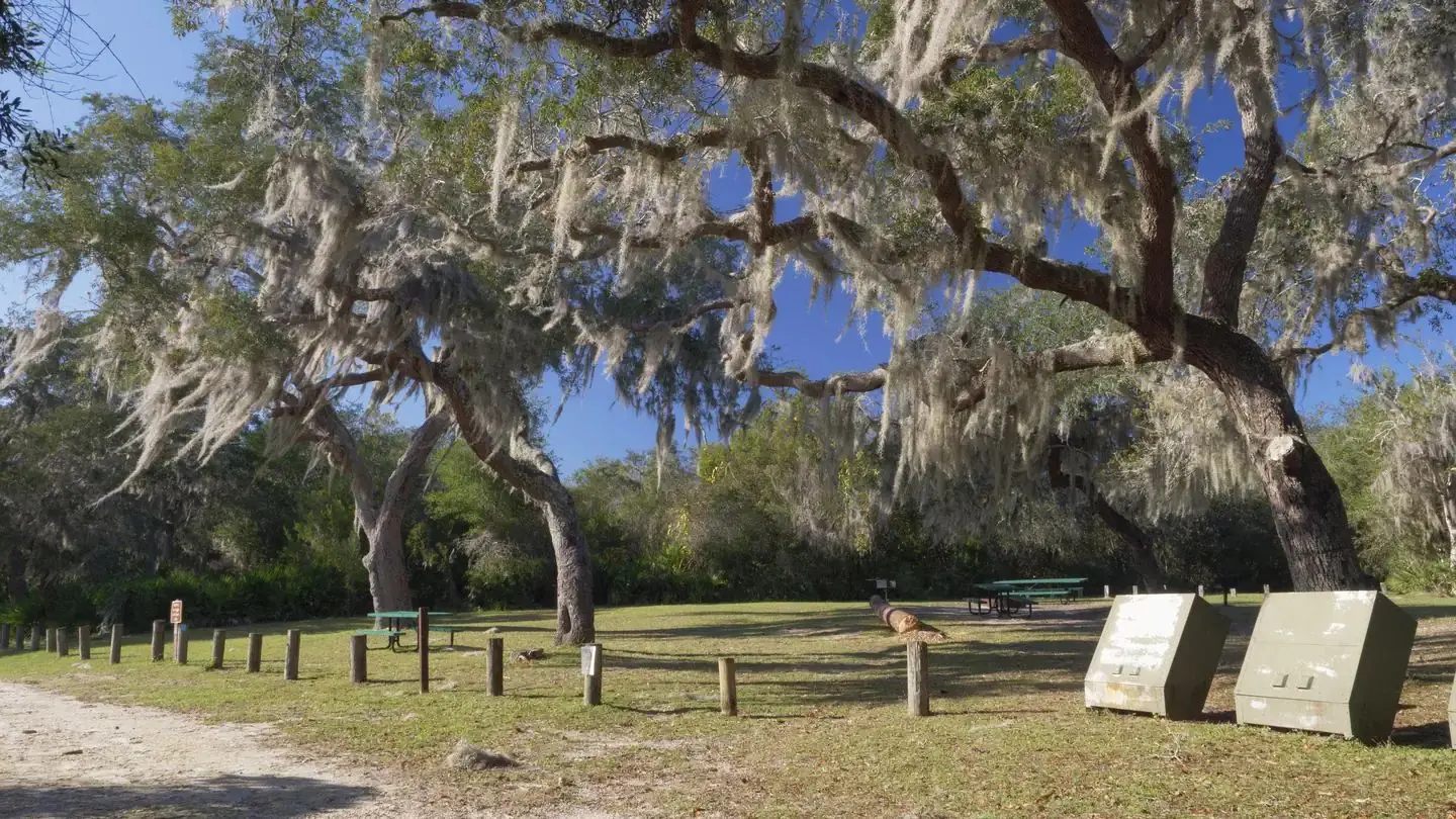 Group campsite at Buck Lake