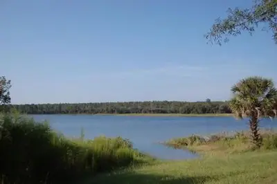 Buck Lake Group Campground view