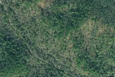 Nimblewill Dispersed Area