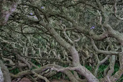 Camden County, GA, USA - panoramio (2)