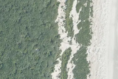 Camp site