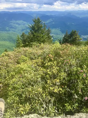 View from The Pinnacle, Pinnacle Park, Sylva, NC (48579951141)