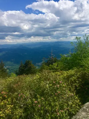 View from The Pinnacle, Pinnacle Park, Sylva, NC (48579950216)