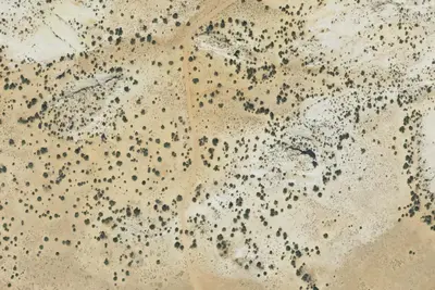 Camp site