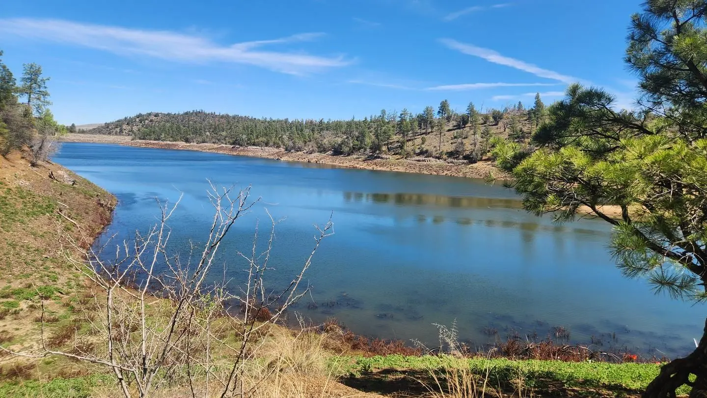 Lynx Lake View From The South Shore With Low Water Level
