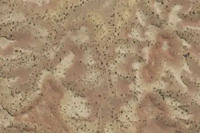 Camp site