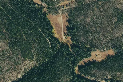 Camp site