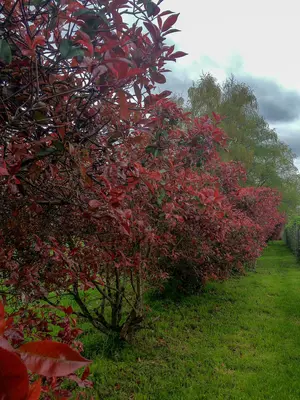 Oak Grove, Oregon (16870355273)
