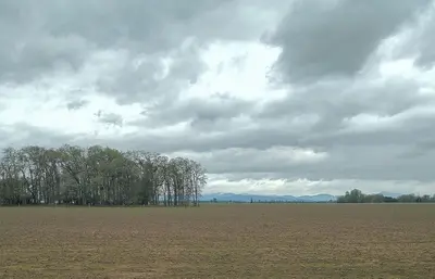 Interstate 5 Oak Grove Rest Area, Harrisburg, Oregon (23950590141)