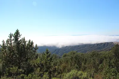 Sea of clouds - panoramio