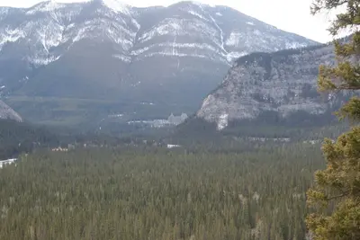 The bow river from Tunnel mountain looking West (8614254841)