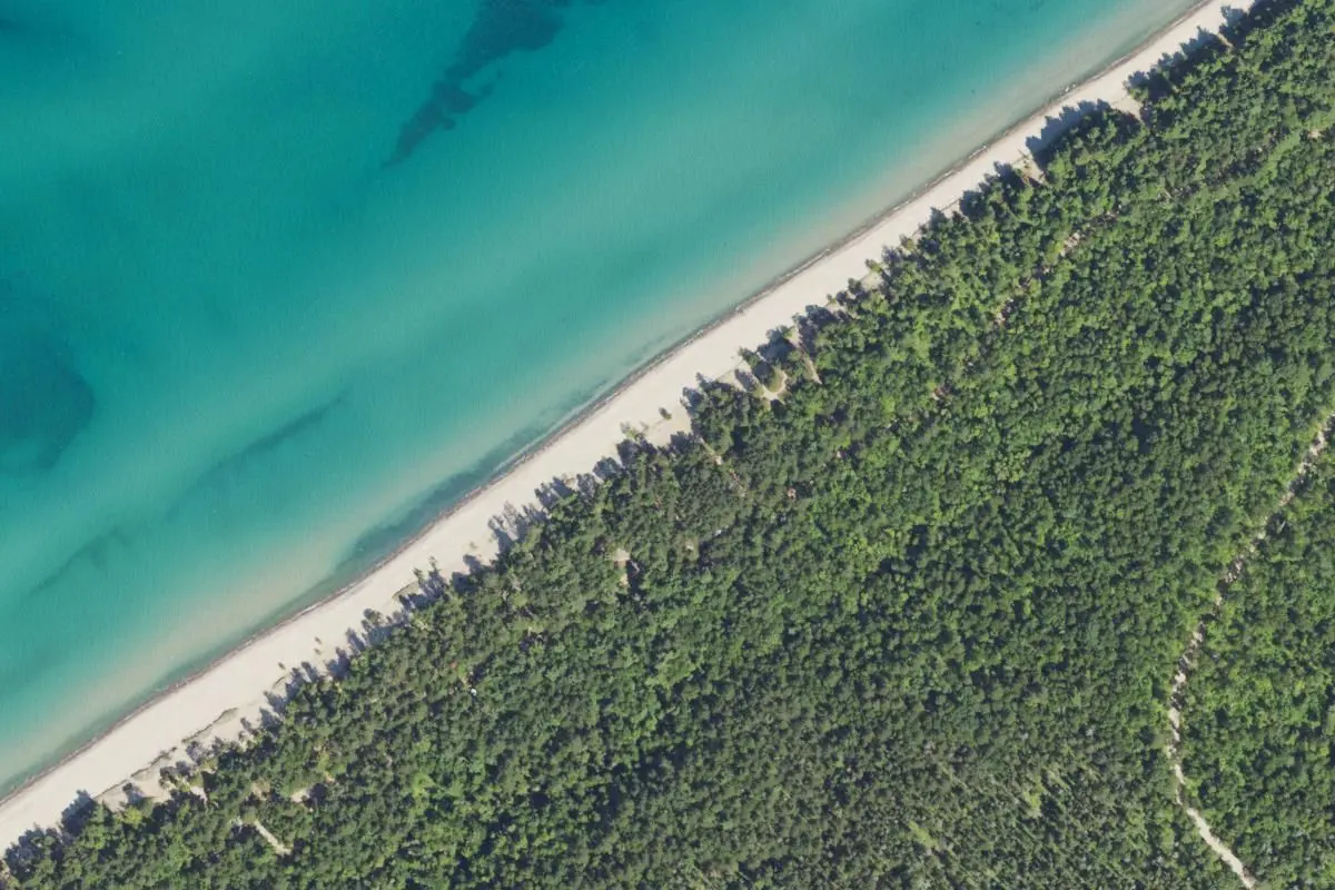Aerial view