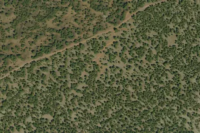 Camp site