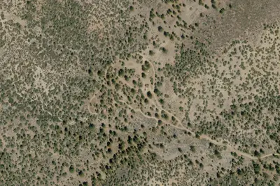 Pine Springs Campground