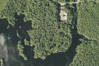 Tully Lake Campground